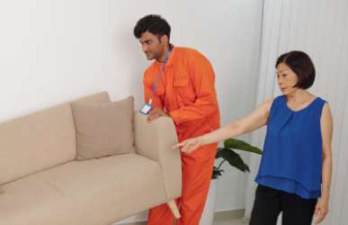 Furniture removals