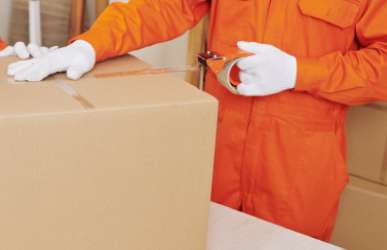 Movers And Packers service