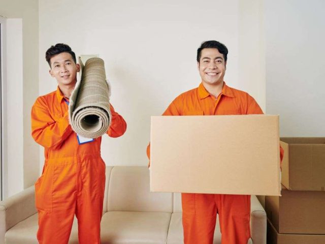 Removal experience and expertise