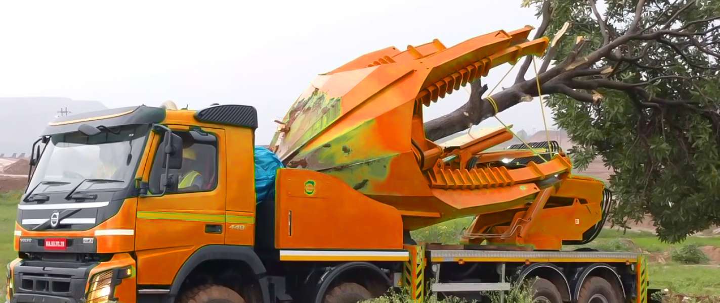 tree removal Sydney