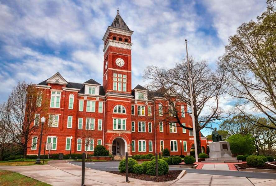 Removalist in Auburn