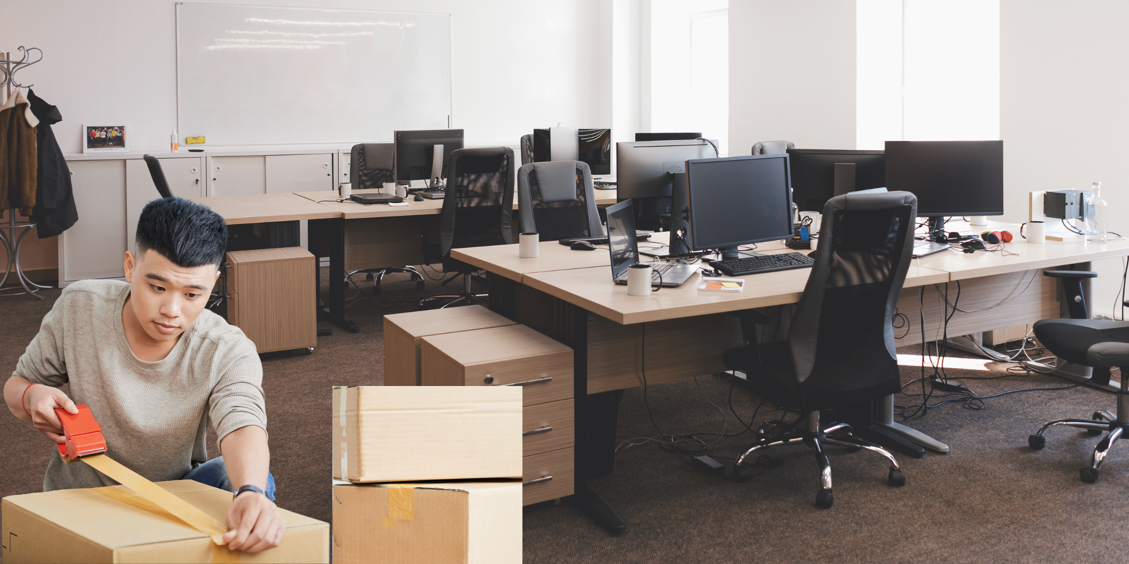 types of moving companies