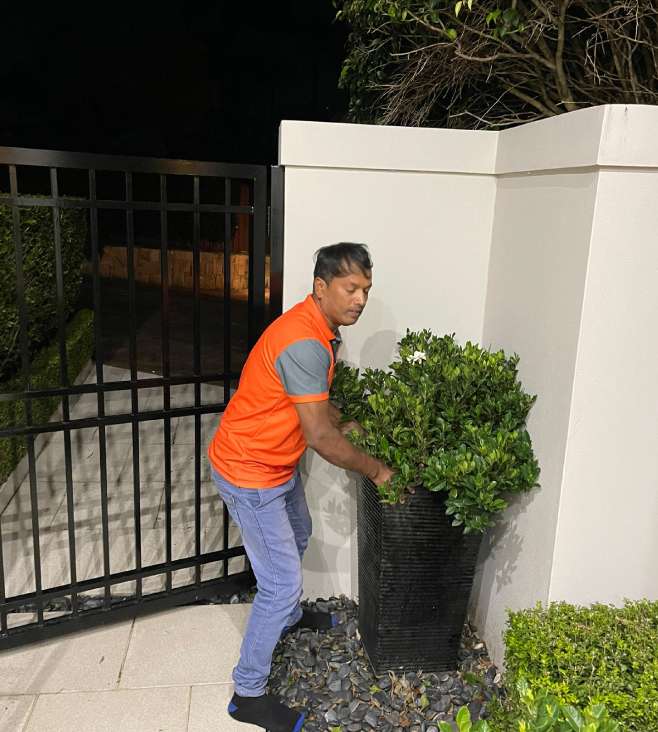 removalist in Mount Druitt