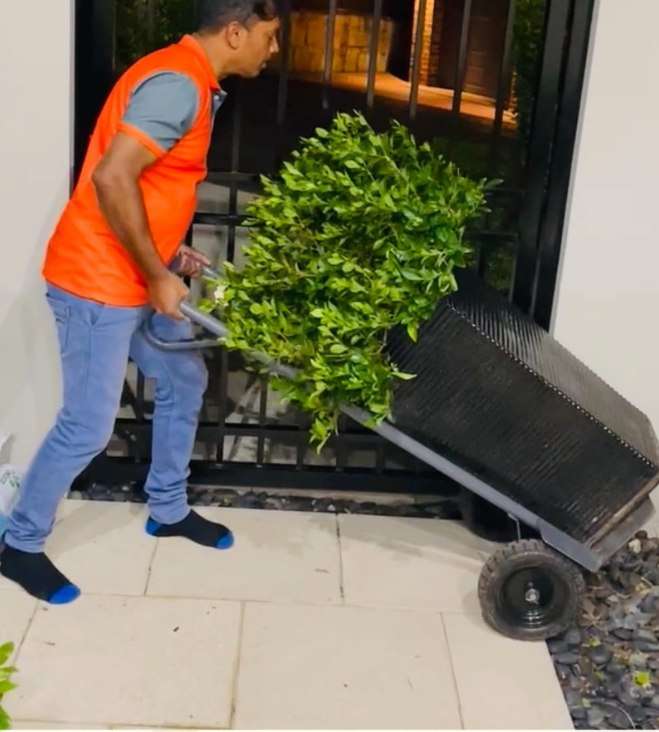 best removalists in Prospect