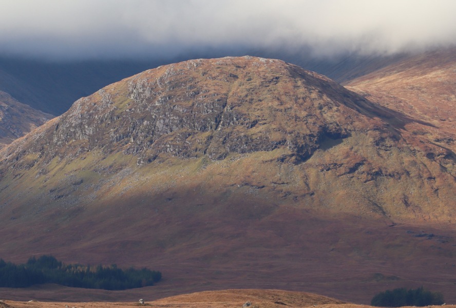 removalist Pendle Hill