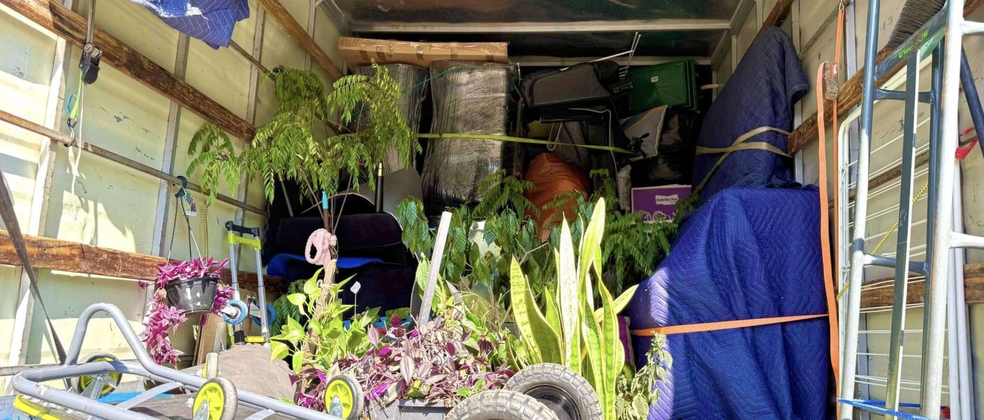 best removalist in Toongabbie East