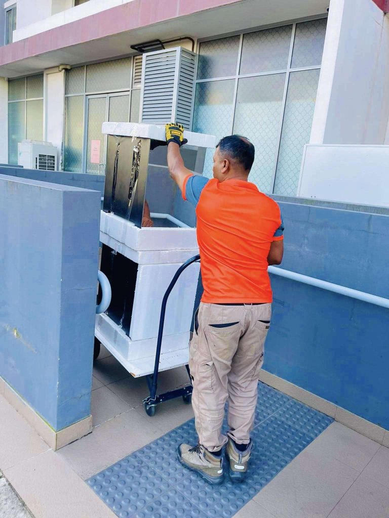 Canterbury removalists