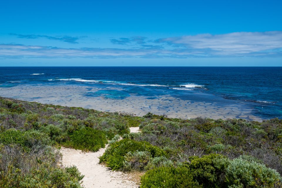removalists Marrickville