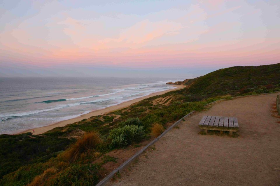 removalist Willoughby NSW