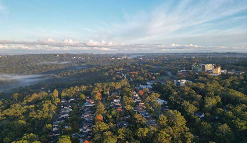 removalist in Wahroonga