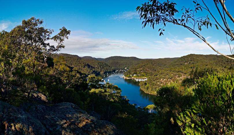 Berowra's Reliable Removalists For Smooth And Easy Moves