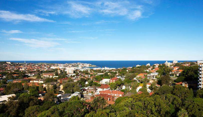 Bellevue Hill removalist